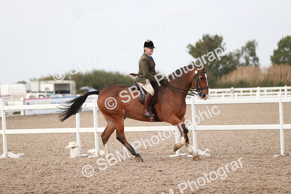 SBM_16838 - Class 214 Ridden Cob