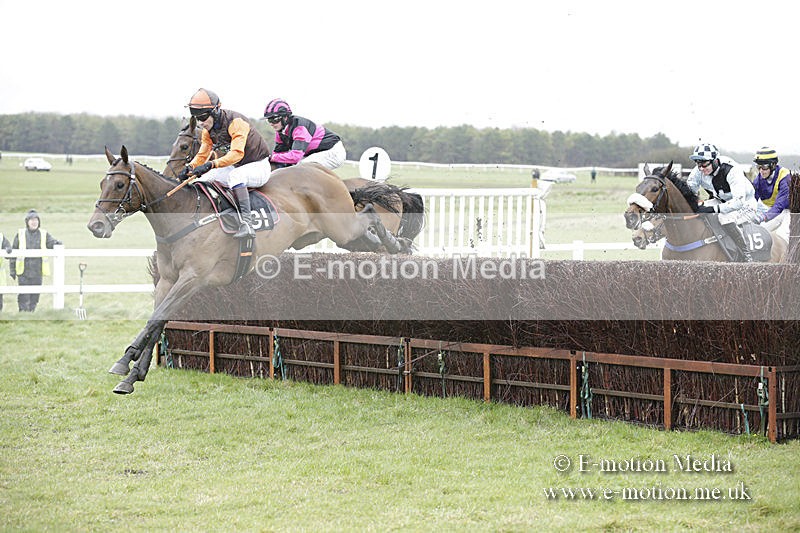 PtP 150320 0196 - New Forest Point-to-Point Larkhill 15/03/20