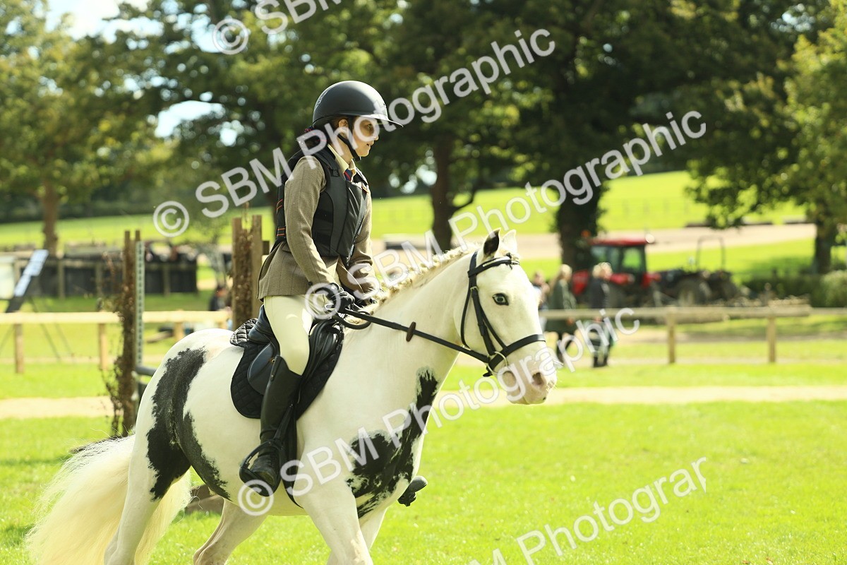 SBM_44702 - S31 - Working Hunter Pony