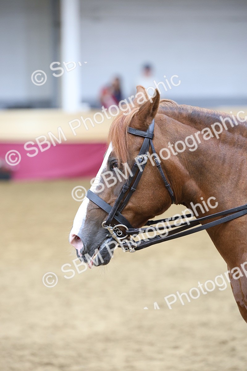 SBM_23600 - Class 904 - Supreme Final - Ridden Diamond