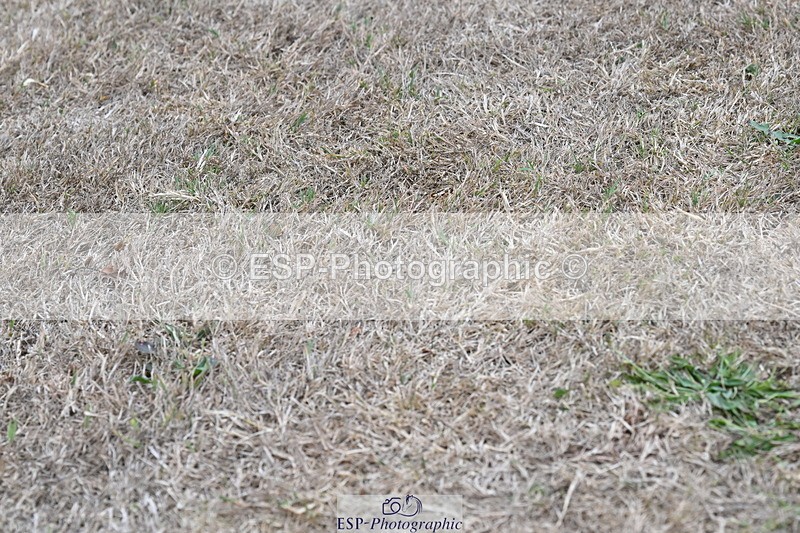 250820A-174919-12289 - Wednesday Presentations