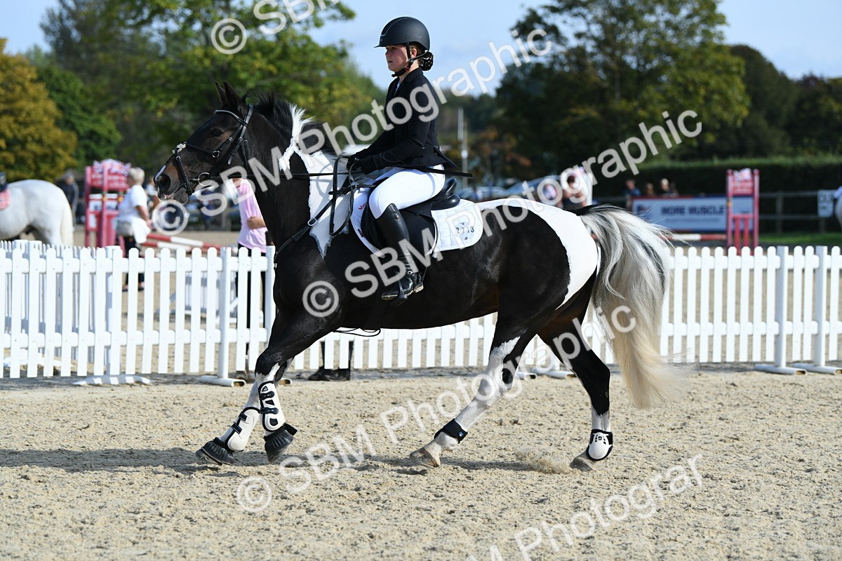 SBM_60744 - j25 - Junior Horse 80cm Championship