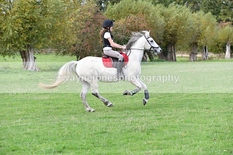 WJ5_1036 - Time 14:29 to 15:31