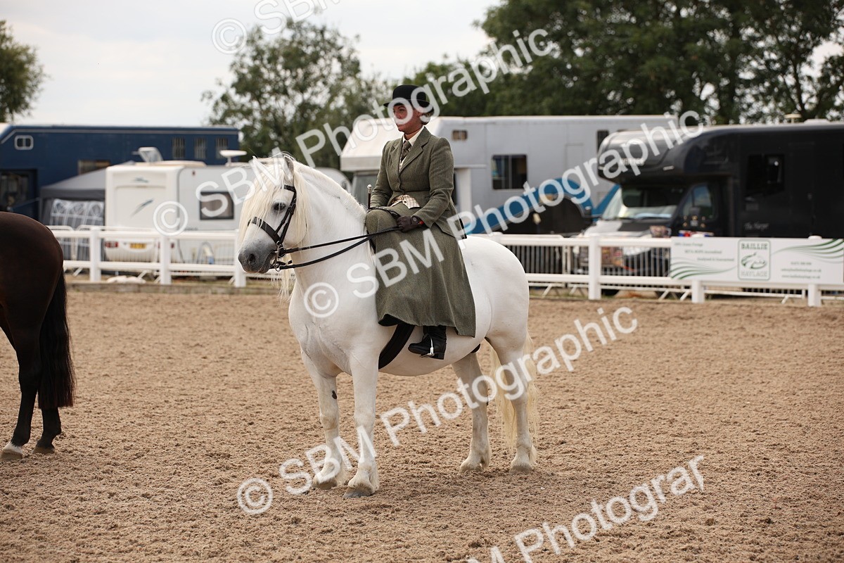 SBM_05517 - Class 22 SSA Equitation