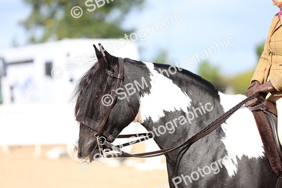 SBM_11419