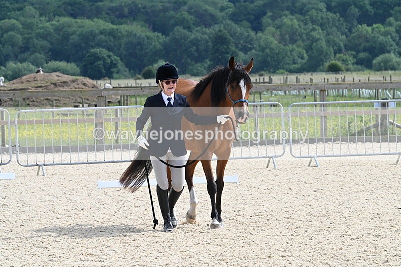 WJ7_8201 - Time 16:10 to 16:25