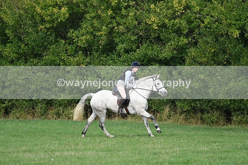 WJ7_8420 - 60cm Pairs