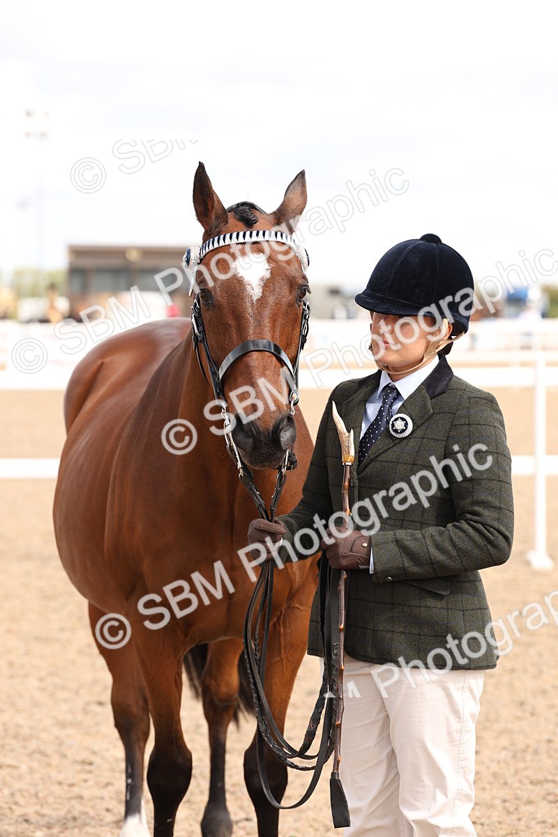 SBM_14704 - Class 208 - IH Veteran Horse