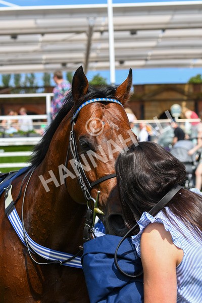 270523-Race 3-Chipstead-0490 - Race 3 2.40pm William Hill Epic Boost Handicap