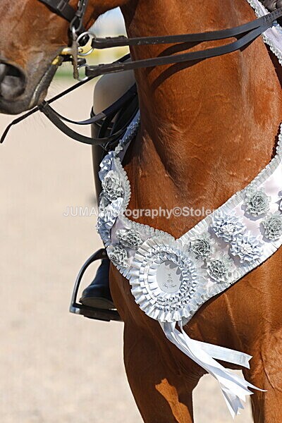 SIAL2419 - Outdoor championship & supreme