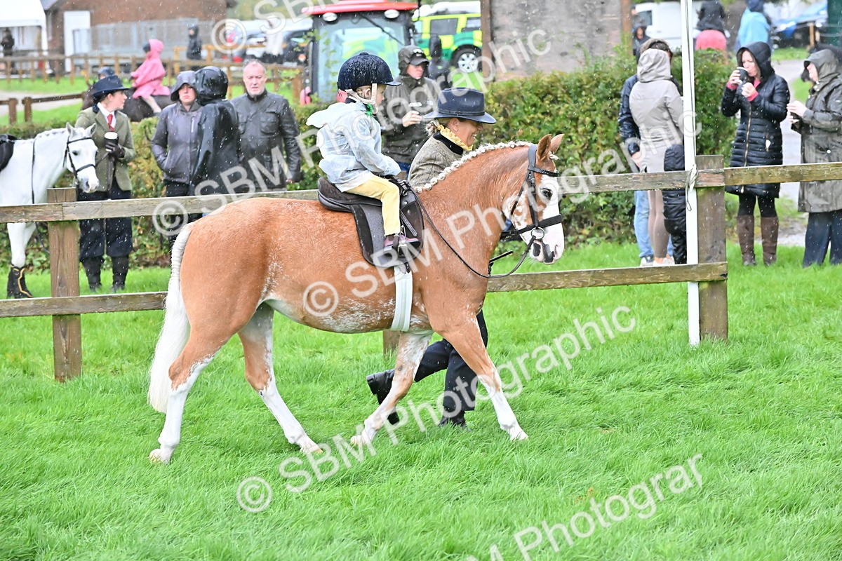 SBM_36471 - S18 - Novice & Newcomer Lead Rein Pony