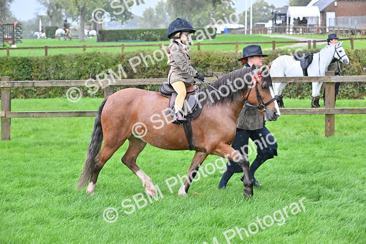 SBM_36466 - S18 - Novice & Newcomer Lead Rein Pony