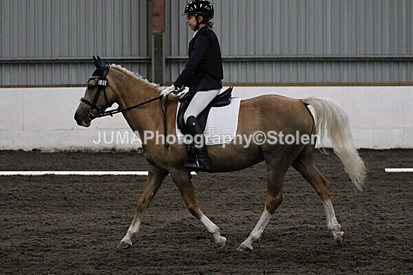 SIAL3619 - CAbin Dressage 5th july 2025