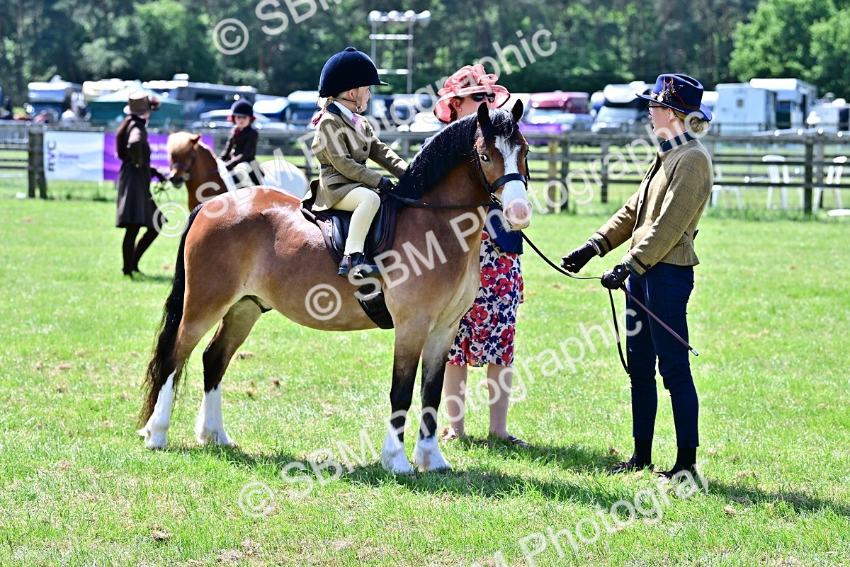 SBM_05823 - Class 59-60 - TSR M&M  Lear Rein and First Ridden Amateur of the year