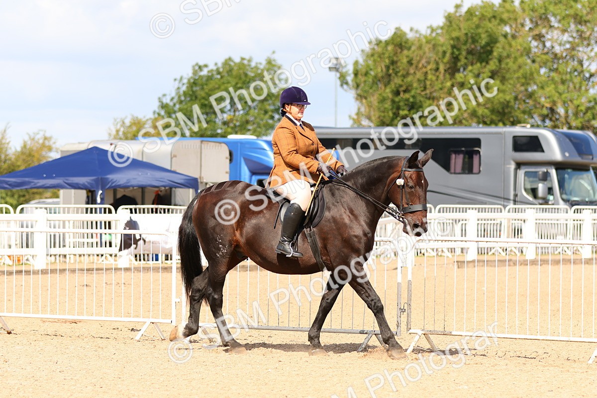 SBM_13440 - Class 212 - Ridden Hunter  - Large