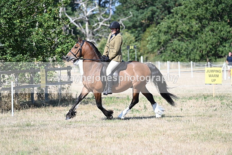 WJ7_3749 - Class 9 Mountain & Moorland Ridden