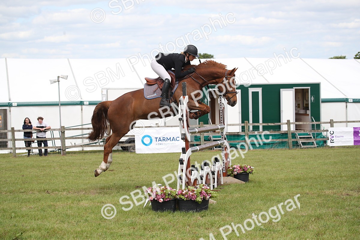 SBM_17545 - Class 208 - Senior Foxhunter 1.20m Open