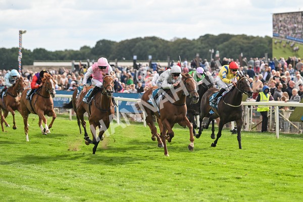 210825-Race 5-Charlottes Web-5035 - Race 5 4.10pm British EBF & Sir Henry Cecil Galtres Stakes