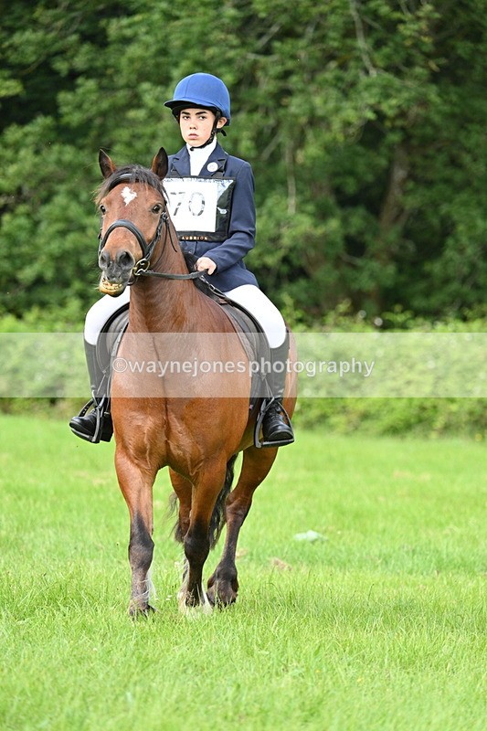 WJ7_1017 - Class 11 Condition & Turnout