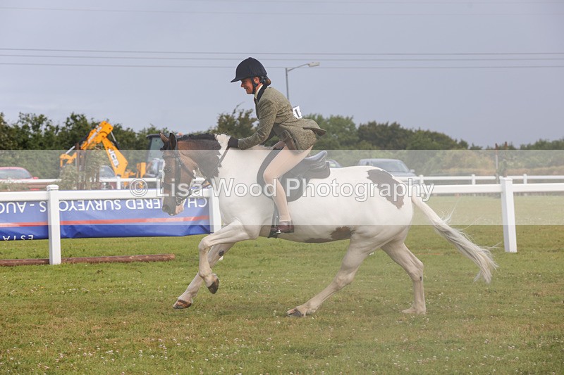 1X9A3051 - Class 26: Ridden Plaited Coloured Pony