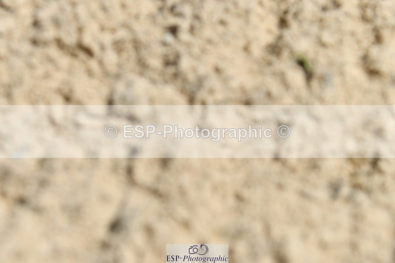 230623-134416-00845 - Cls 5 Elementary 43