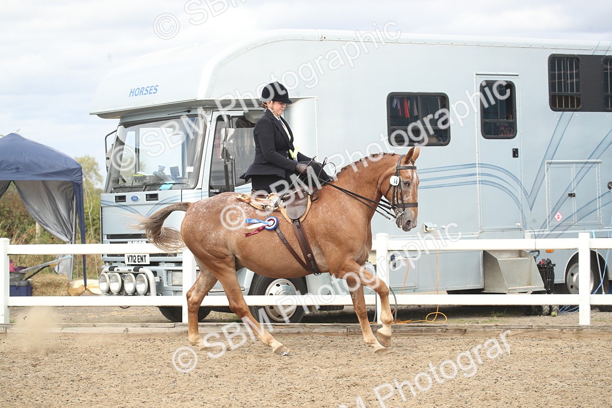 SBM_17800 - Class 508a - Working Veteran 70cm (15-19)