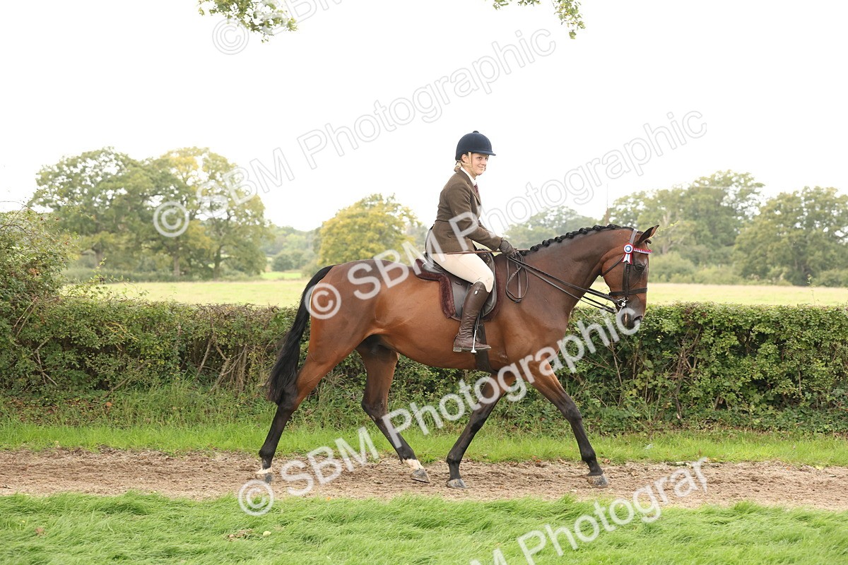 SBM_64169 - S65 - Riding Horse & Hack & Thoroughbred Ridden