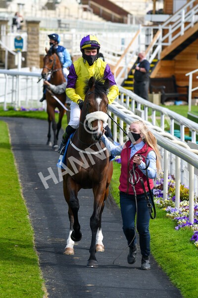 yr13052021r6-19 - Race 6 4.15pm Constant Security EBFstallions.com Maiden Stakes