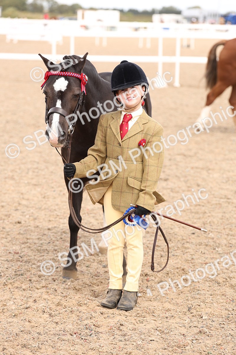 SBM_15145 - Class 209 - IH Veteran Pony