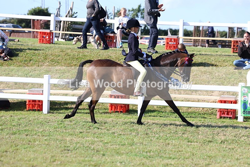 3E7A4273 - Supreme Championship