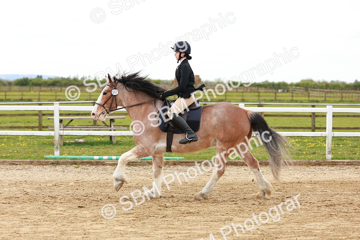 SBM_004174 - Class 3 - 60cm