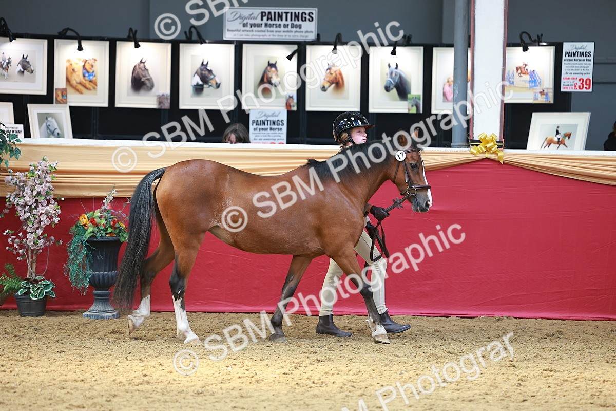 SBM_04176 - Class 9R - IH Pre-Vet