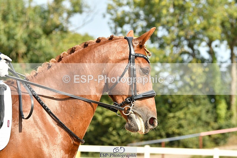 250817-113909-08626 - 091-Pippa.KnightKFS.Boston.Burglar