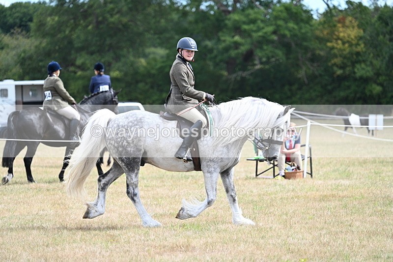 WJ7_5573 - Class 12 Ridden Cob