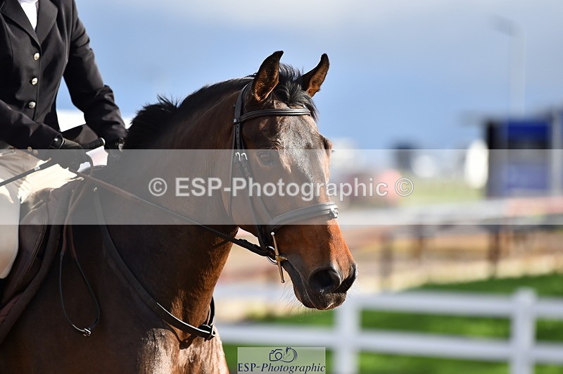 231014A-101202-03852 - Cls 12 British Novice & 90cm Open