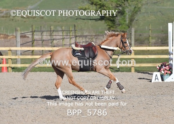BPP_5786 - CLASS 2 SAT 28cm Pony Royal Highland Show Championship Qualifier