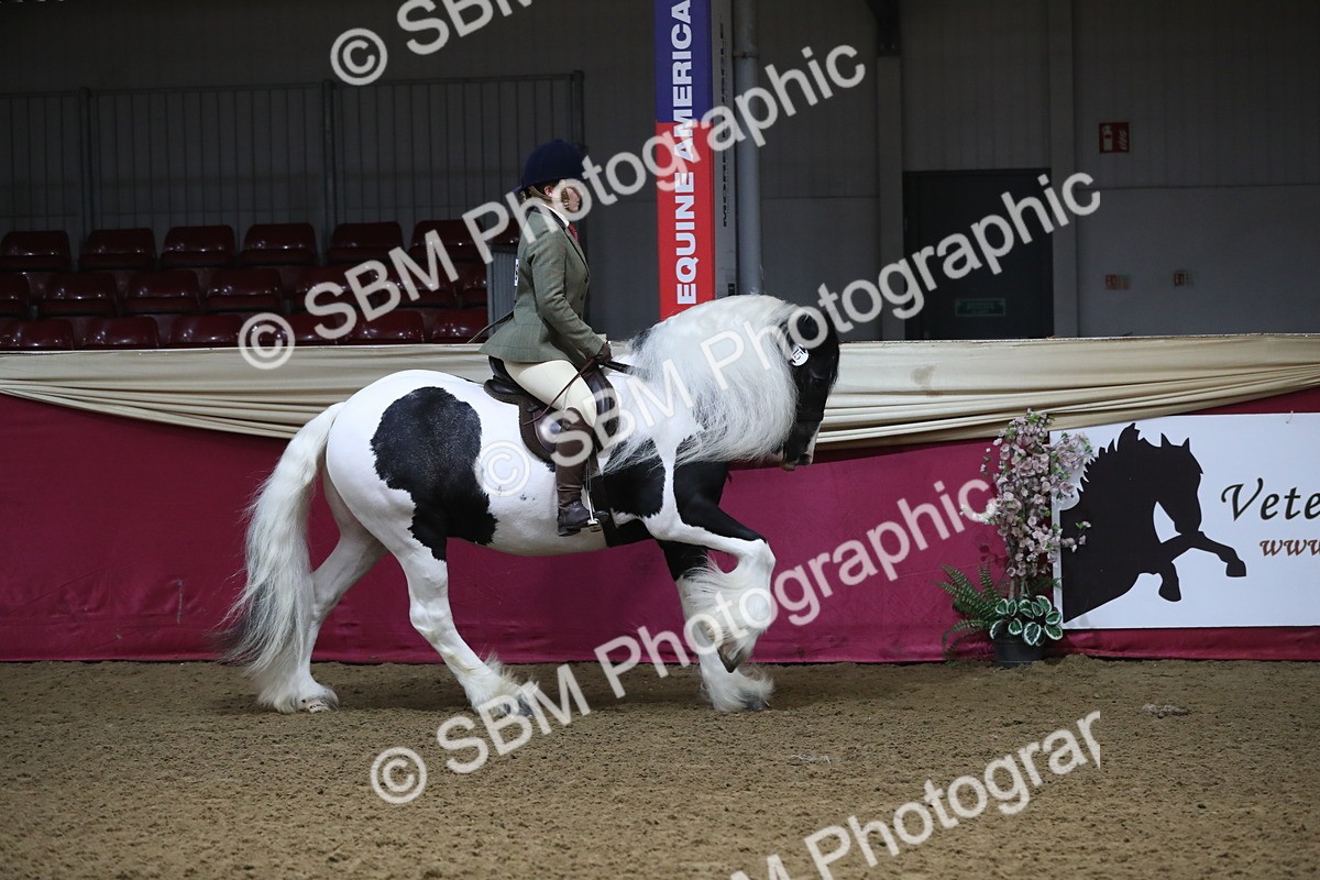 SBM_10358 - Class 102 Equitation (best rider) Adult