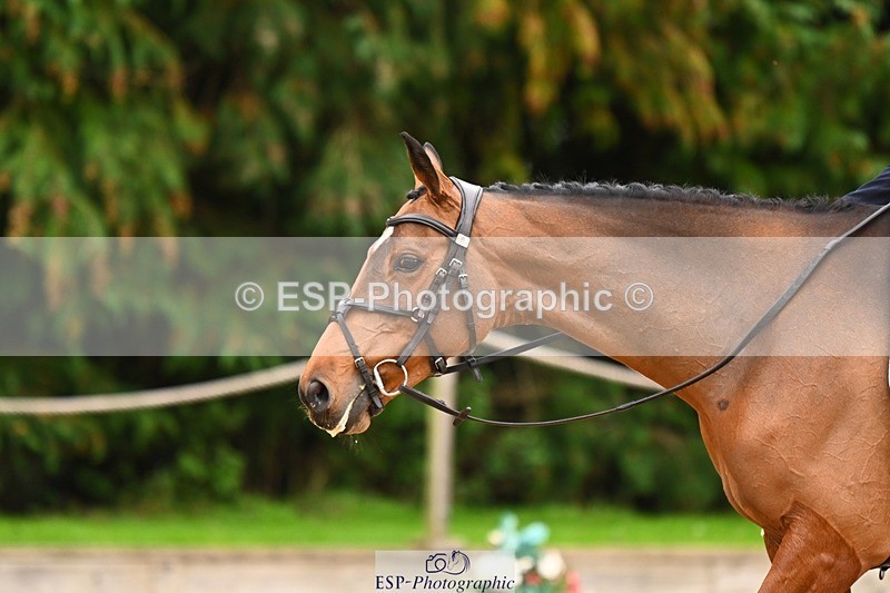 231020-153954-11910 - 214-LIGHT.TOUCH-Liv.Irby-DR