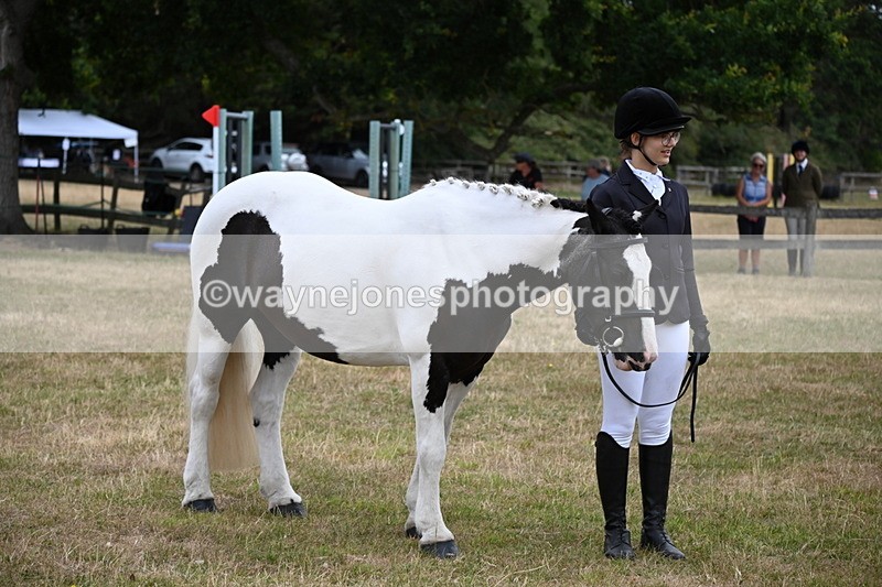 WJ6_4236 - Class 10 Coloured In-hand