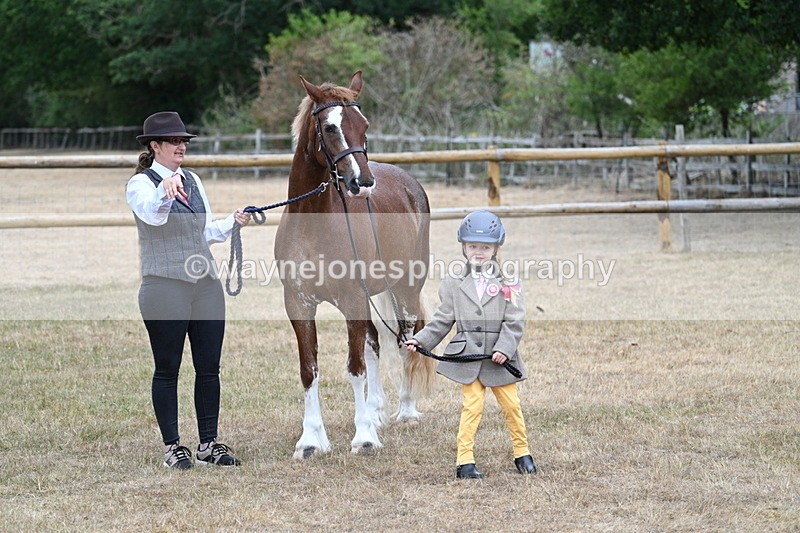 WJ7_8175 - Class 4 Prettiest Mare up to 14.2hh