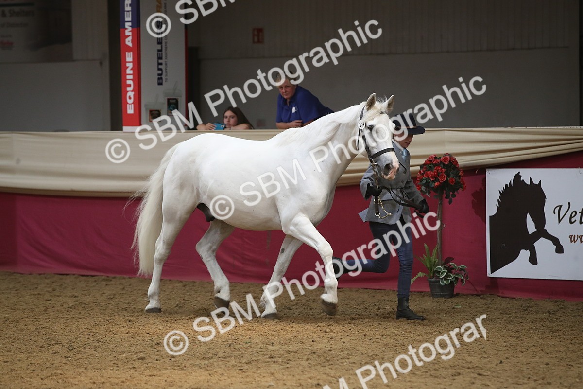 SBM_05561_Class9r - Regional - IH Pre Vet - Lily