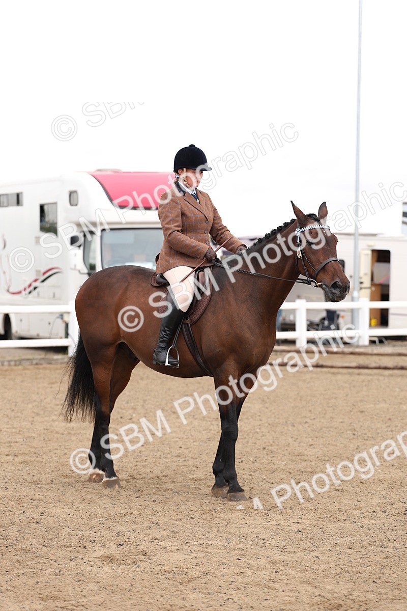 SBM_02943 - Class 53 - Ridden Competition Horse/Pony