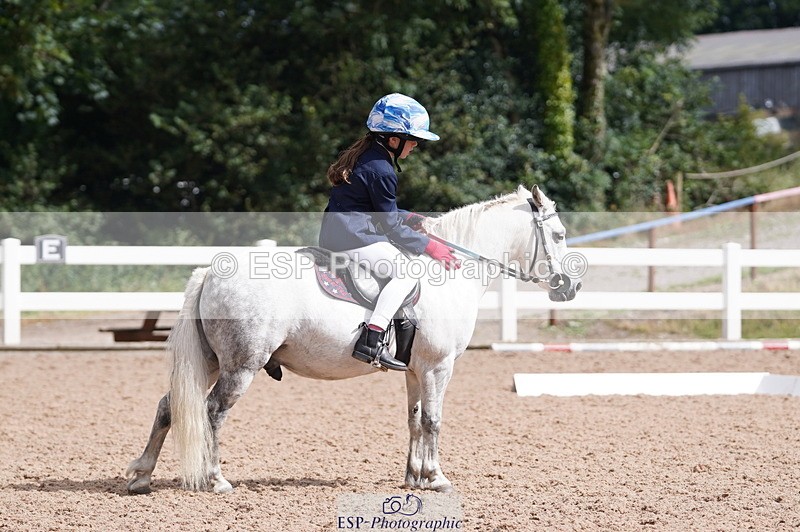 240809A-110158-00710 - Dressage Competition