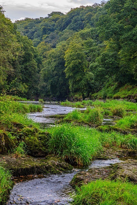 Flowing Through - Mid Wales