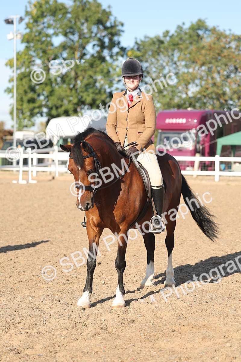 SBM_11054 - Class 302 - Ridden M&M Large Breeds