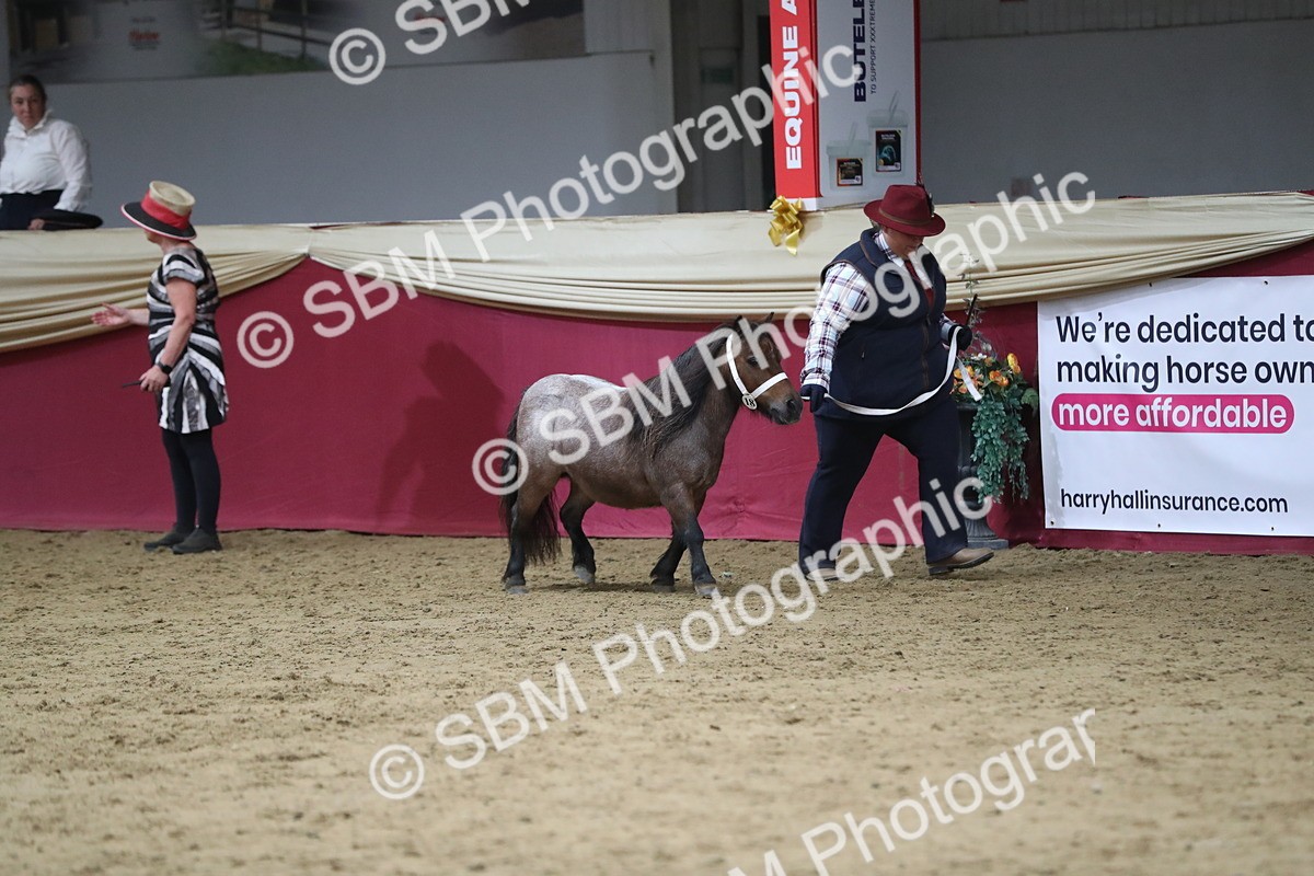 SBM_06364 - Class 9R Regional- IH Pre Vet