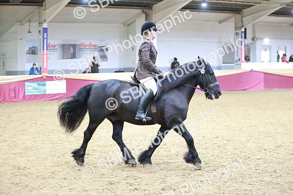 SBM_08884 - Class 12R - Regional Ridden Pre-Vet