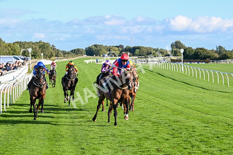 100924-Race 7-Desert Dream-0702 - Race 7