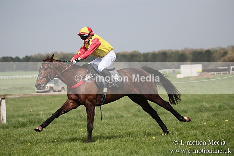 PtP 210418 23 - South & West Wilts Point-to-Point Larkhill 21/04/18