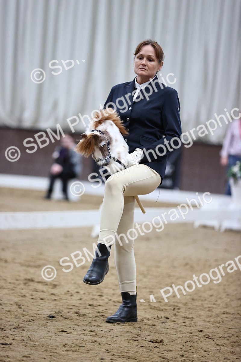 SBM_003395 - Class 13 - Dressage